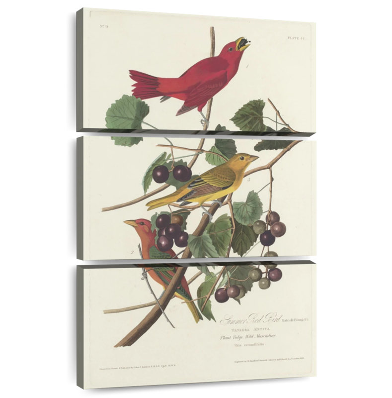 Oiseau rouge Brampt, H 50 po x l 32 po