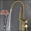 Robinet de baignoire autoportant monocommande à fixation au sol avec douche à main (or brossé)