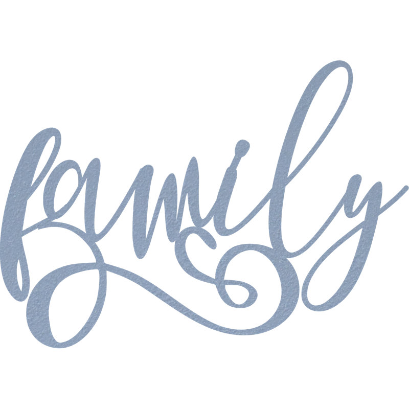 Family Cursive Wall Décor, Silver, 14.1" H x 20" W x 0.06" D