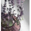 Primula Handmade Glass Table Vase-2000853989-2000853988