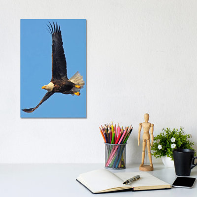 Soaring 1 Piece Wrapped Canvas Wall Art