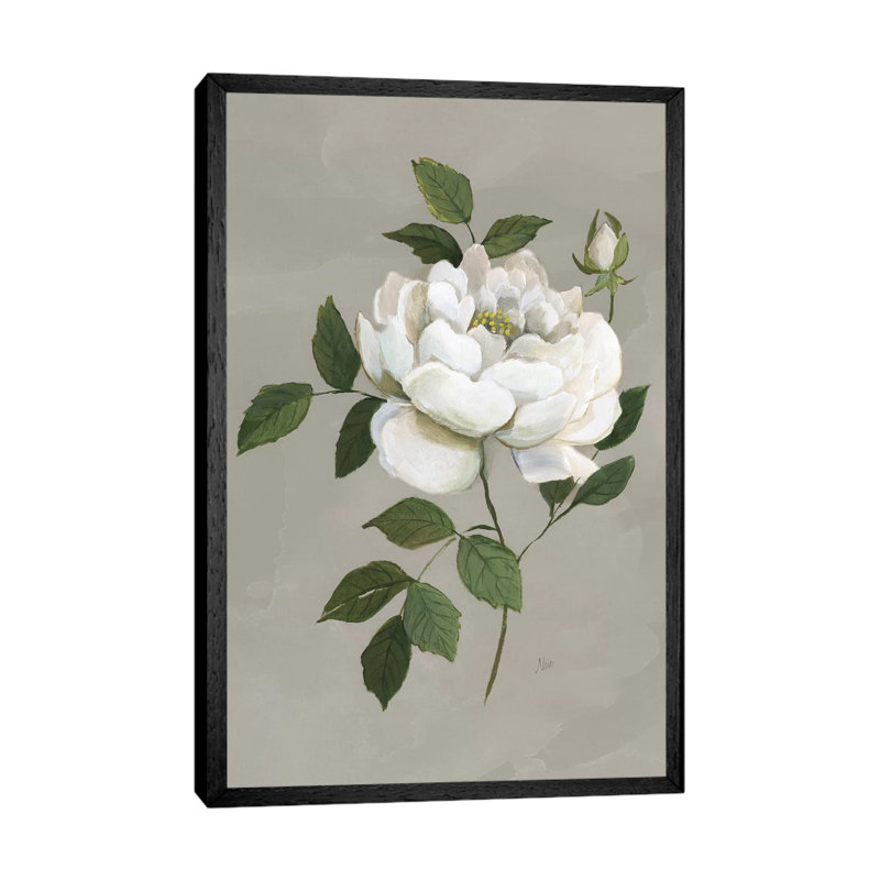 Botanical Rose by Nan - Print on Canvas, Black Framed, 152.5 cm H x 101.5 cm W