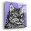 «Tough Cat» par Carolee Vitaletti-472248073