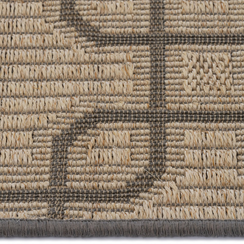Chenyu Jute/Sisal Geometric Indoor Rug, Rectangle 4' x 6'
