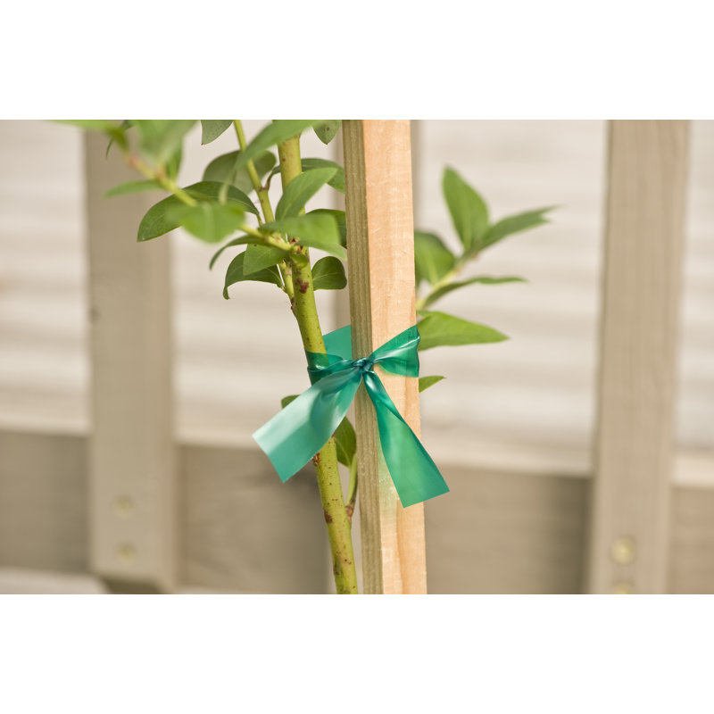 Support pour plante solide et extensible
