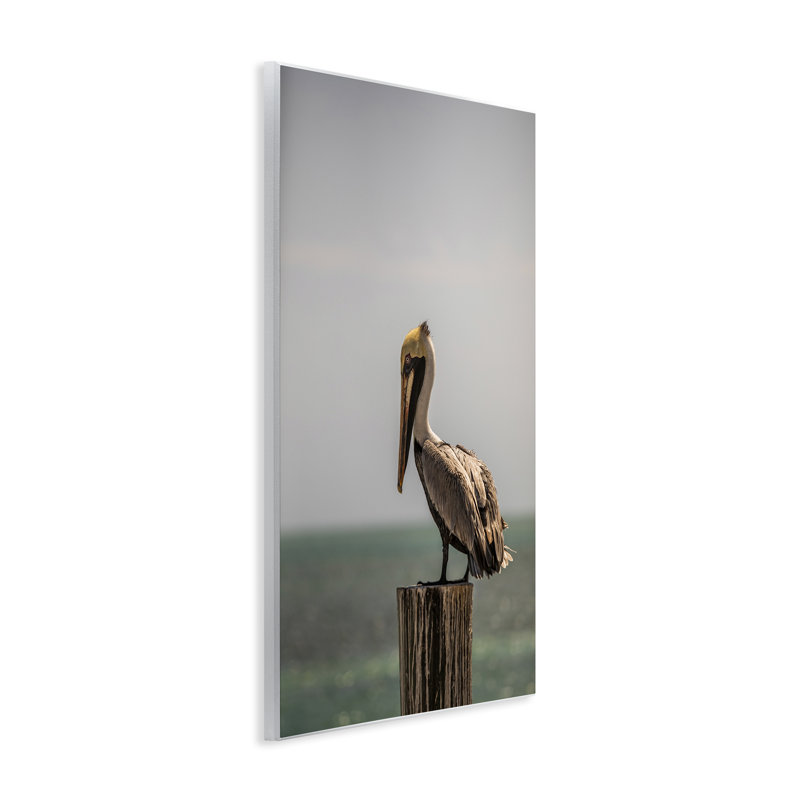 «Nautical Landscape Pelican Wall Art» par Aaron Matheson, H 19 po x l 13 po