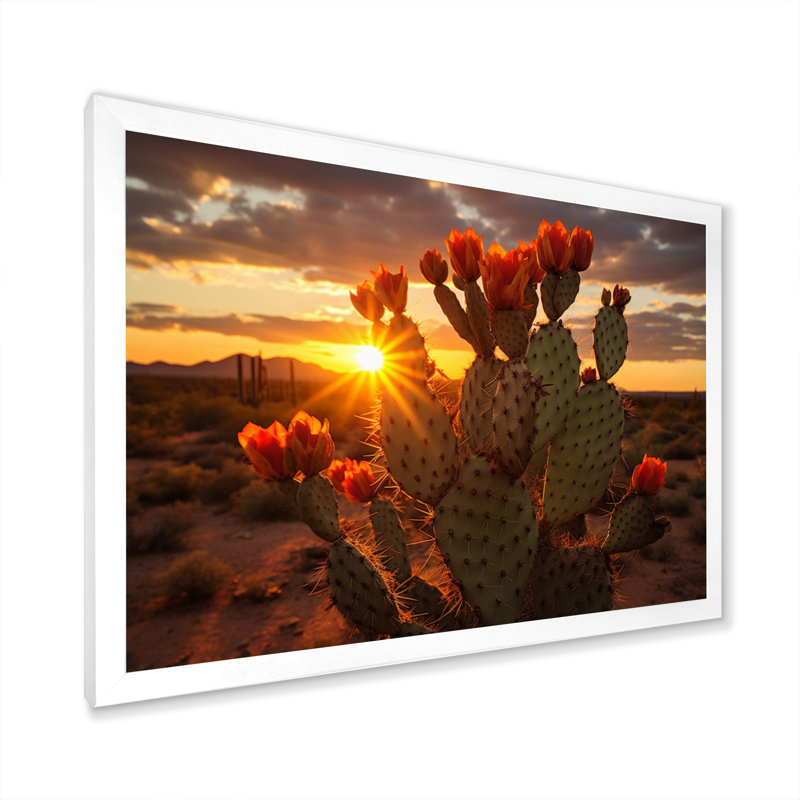 Champ de cactus rouge et vert avec coucher de soleil III - impression, Cadre simple blanc, H 16 po x l 32 po x P 1 po
