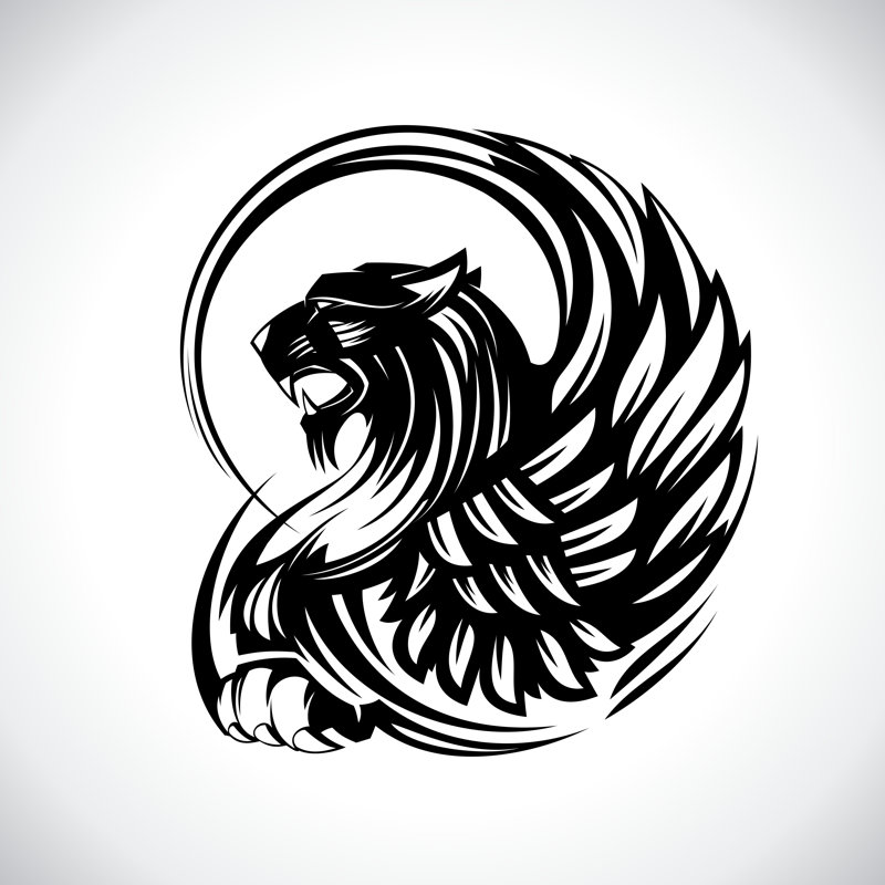 Griffin Design - Wrapped Canvas Print, 51cm H x 51cm W x 3.8cm D