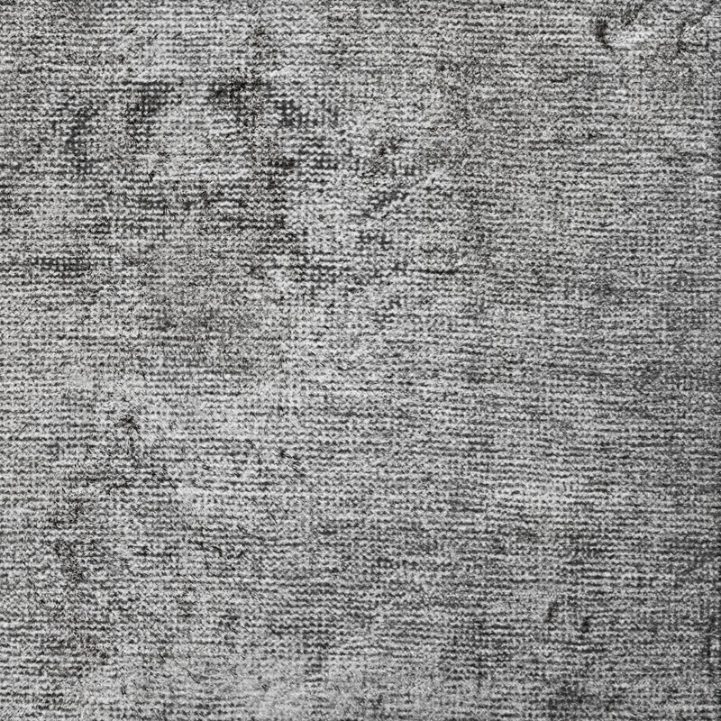 Tapis oriental à poils longs de qualité supérieure lavable à la machine ADS658, Grey, 10 pi x 14 pi