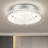 Tawanya LED Flush Mount Ceiling Light Bathroom Ceiling Light Flush Mount Chandelier