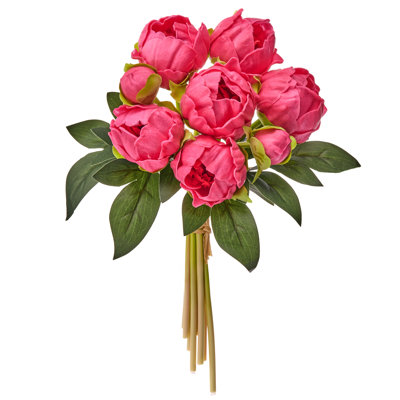 Ensemble de pivoines 11 po