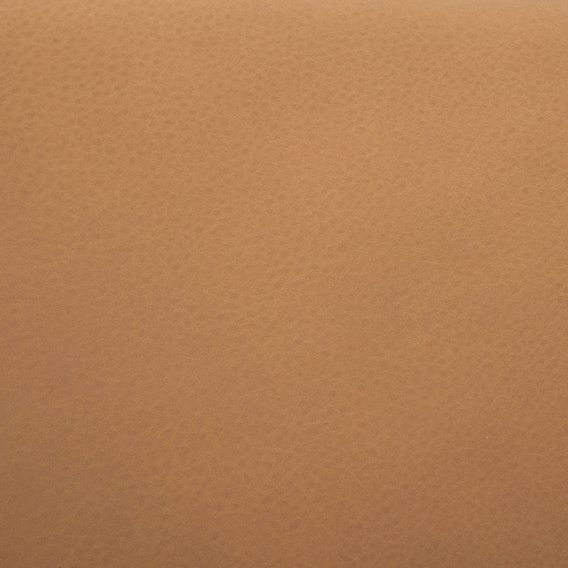 Katiya Leather Dining Chair