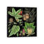« botanique grid iii », reproduction d’impression sur toile-28628051-72448146-72448144