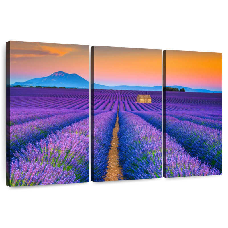 Alvord superbe champ de lavande Valensole, H 20 po x l 33 po
