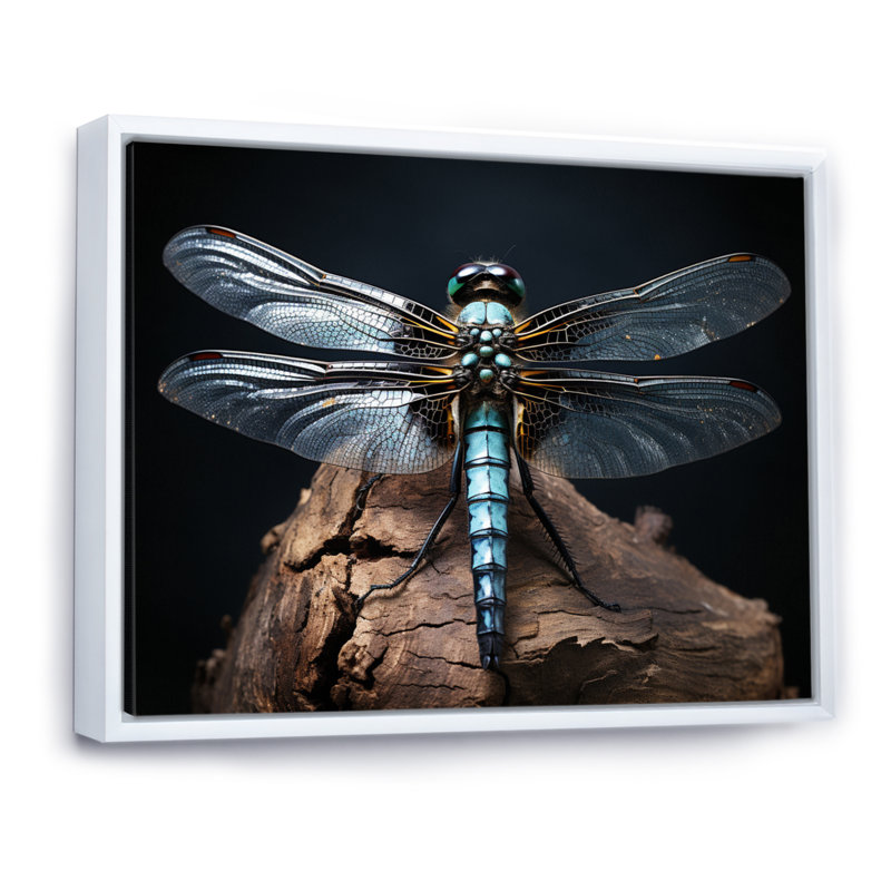 «Teal Dragonfly Portrait I», reproduction d'art sur toile, Cadre flottant blanc, H 16 po x l 32 po x P 1 po