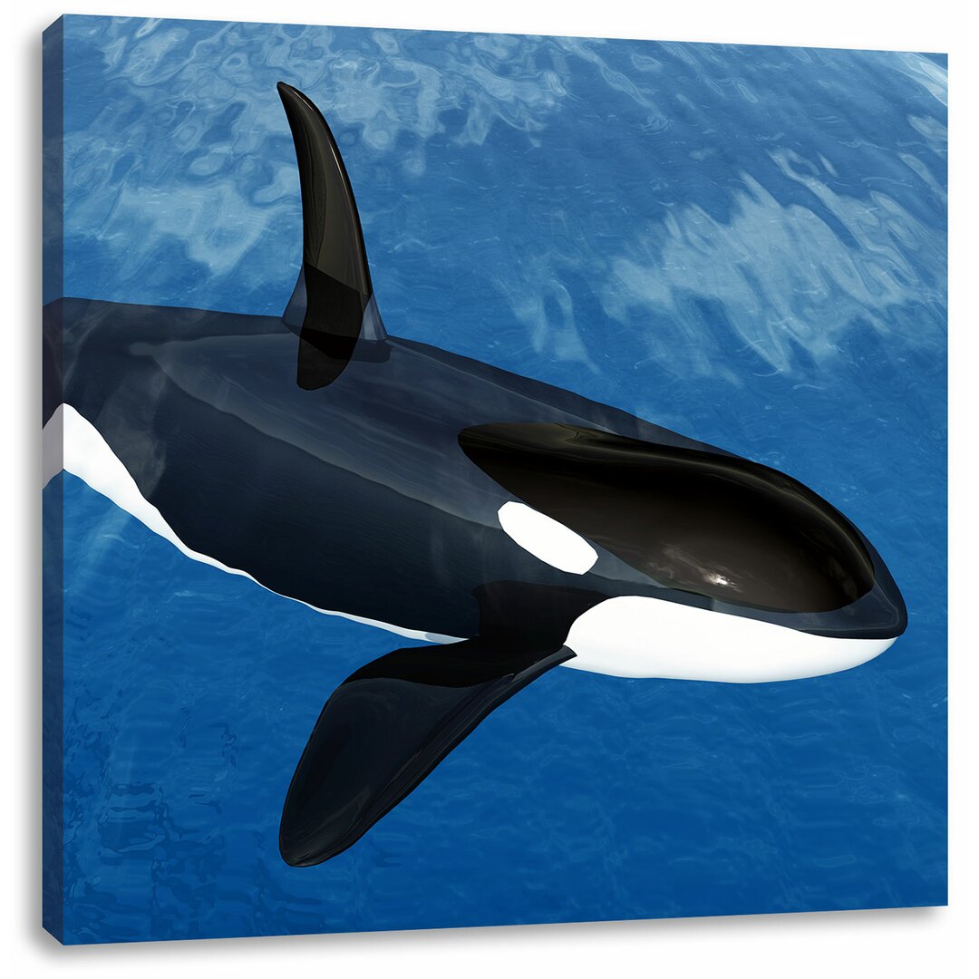 Leinwandbild Orca im blauen Meer