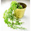 80cm Faux Plant