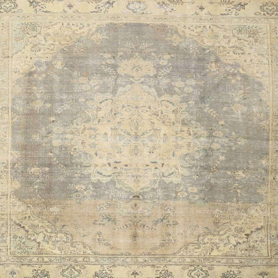 Oriental Indoor Rug