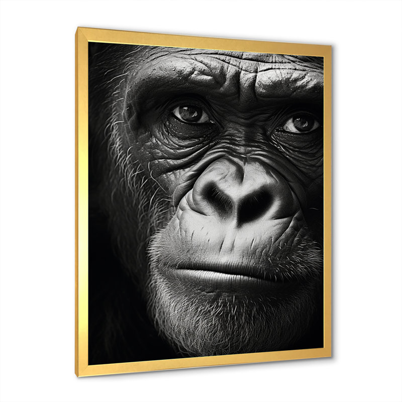 La matriarche gorille sur toile, Cadre doré simple, H 40 po x l 30 po x P 1,5 po