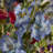 Mixed Arrangement in Vase