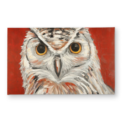 Colorful Eagle Owl Door Mat - Bedroom Wildlife Home Decor
