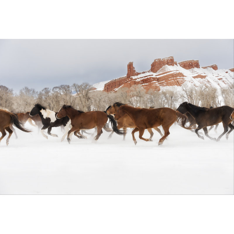 Snow Run III by PHBurchett - Wrapped Canvas Print, 81 cm H x 122 cm W, Black Floater Framed