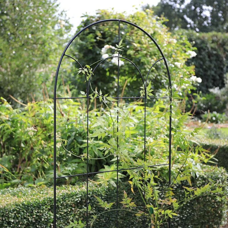 Treillis rond RHS 71 po autoportant en acier pour plantes grimpantes