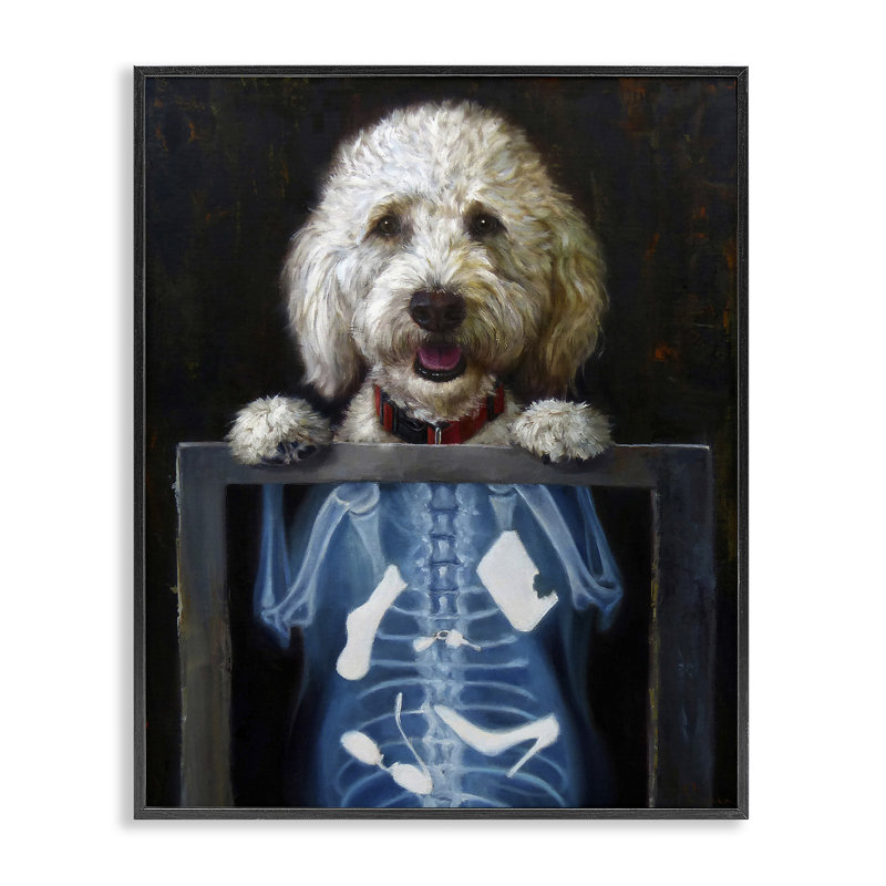 «Funny Dog X-Ray Snacks» encadré sur bois par Lucia Heffernan, peinture, Giclée encadrée noir minuit