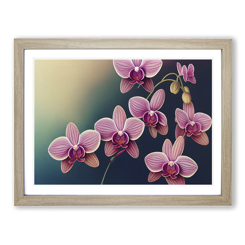 Cheerful Orchid Flowers - Single Picture Frame Print, 25cm H x 34cm W x 2cm D, Oak