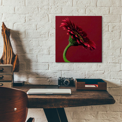 " Red Gerbera On Red 05 " by Tom Quartermaine