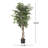 70.9'' Faux Ficus Tree in Pot-378567686