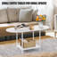 Table de centre ovale avec tablette de rangement et plateau de table en bois, table basse moderne à 2 niveaux pour petits espaces et appartements