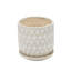 Neutral Textured Ceramic Saucer Planters Set of 2-1932373498
