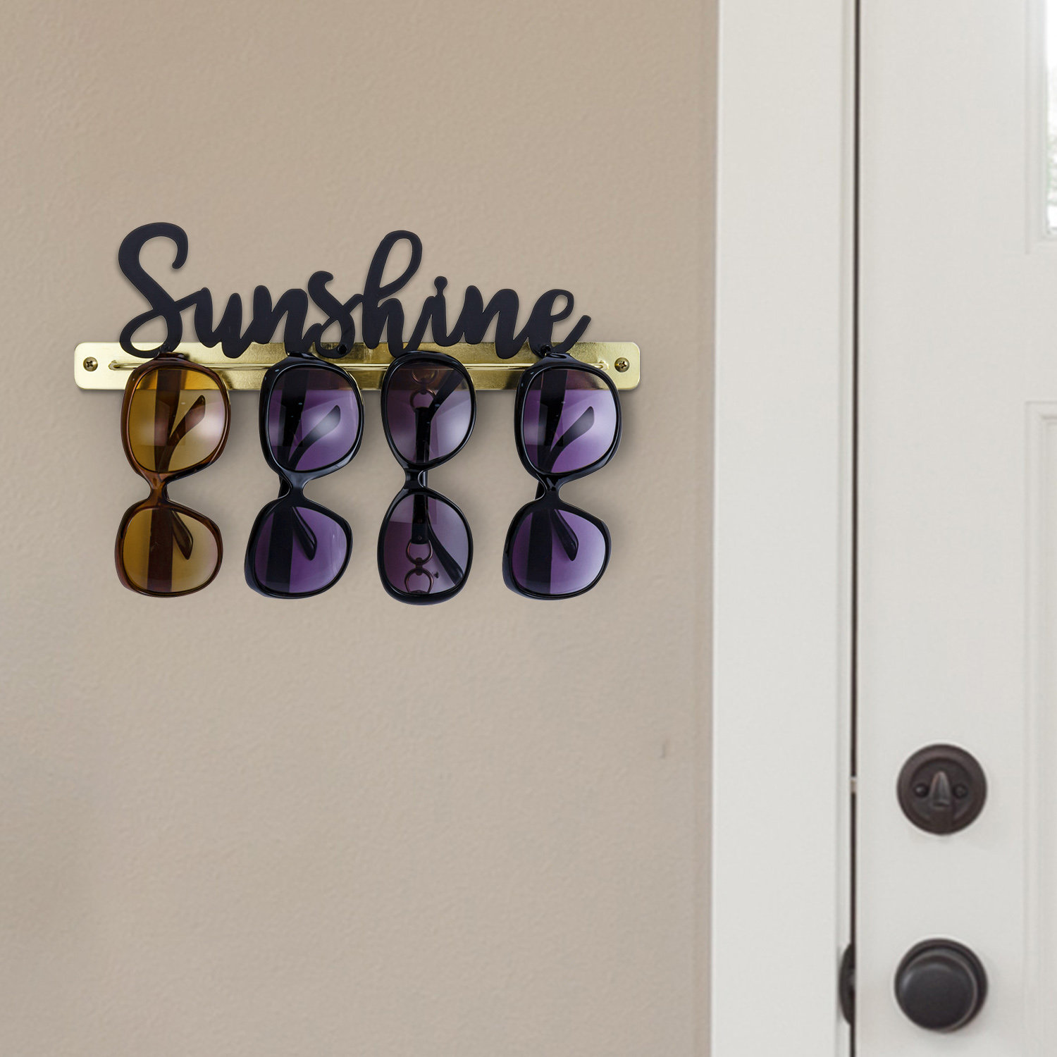 Trinx Sunglasses Wall Mounted Jewelry Holder | Wayfair