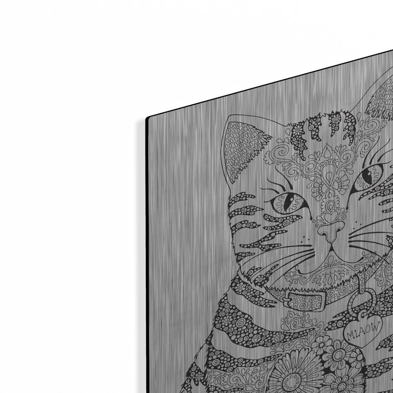 «Miaow» par Hello Angel, H 16 po x l 12 po