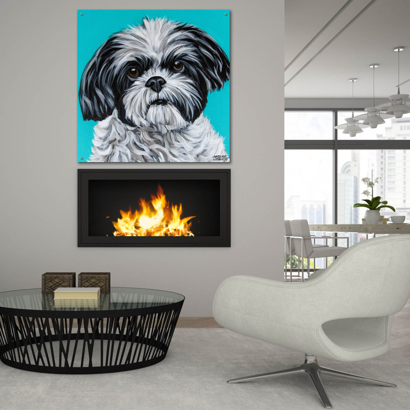 «Black and White Shih Tzu» par Carolee Vitaletti, art mural en verre acrylique, H 36 po x l 36 po