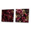 Bluffton - ensemble de 2 reproductions d'art abstrait botaniques-102574817-102574827