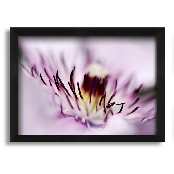 Ebern Designs Pink Heaven Centre - Single Picture Frame Print on Canvas ...