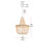 Luminaire suspendu perlé de 20 po Hudson