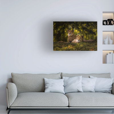 Sake Van Pelt Cheetah Couple Canvas Art