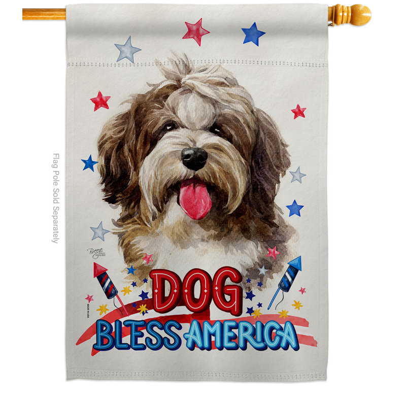 Drapeau de maison patriotique havanais cubain à 2 côtés en polyester 40 x 28 pi