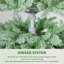 Arbre de Noël 6 pi avec arbre de Noël pré-éclairé, dégradé vert, flocon de neige, 100 lumières DEL bicolores et 320 branches-1205860020-1205860018