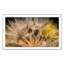 Float Away Print by Geoffrey Baris-48617804-48617810