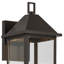 Applique murale d'extérieur 16,75 "avec verre transparent DarkSky 16,75"-115680842-115680843