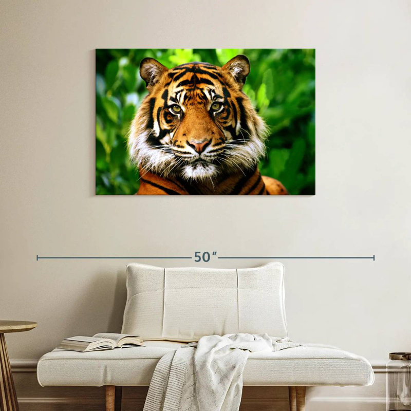 Sumatran Tiger Gaze, 26" H x 39" W