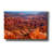 'Morning Light' by John Gavrilis, Giclee Canvas Wall Art-1945809192