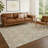 Machine Washable Indoor/Outdoor Chantille ACN2670 Modern Rug-1730985256-1730985258