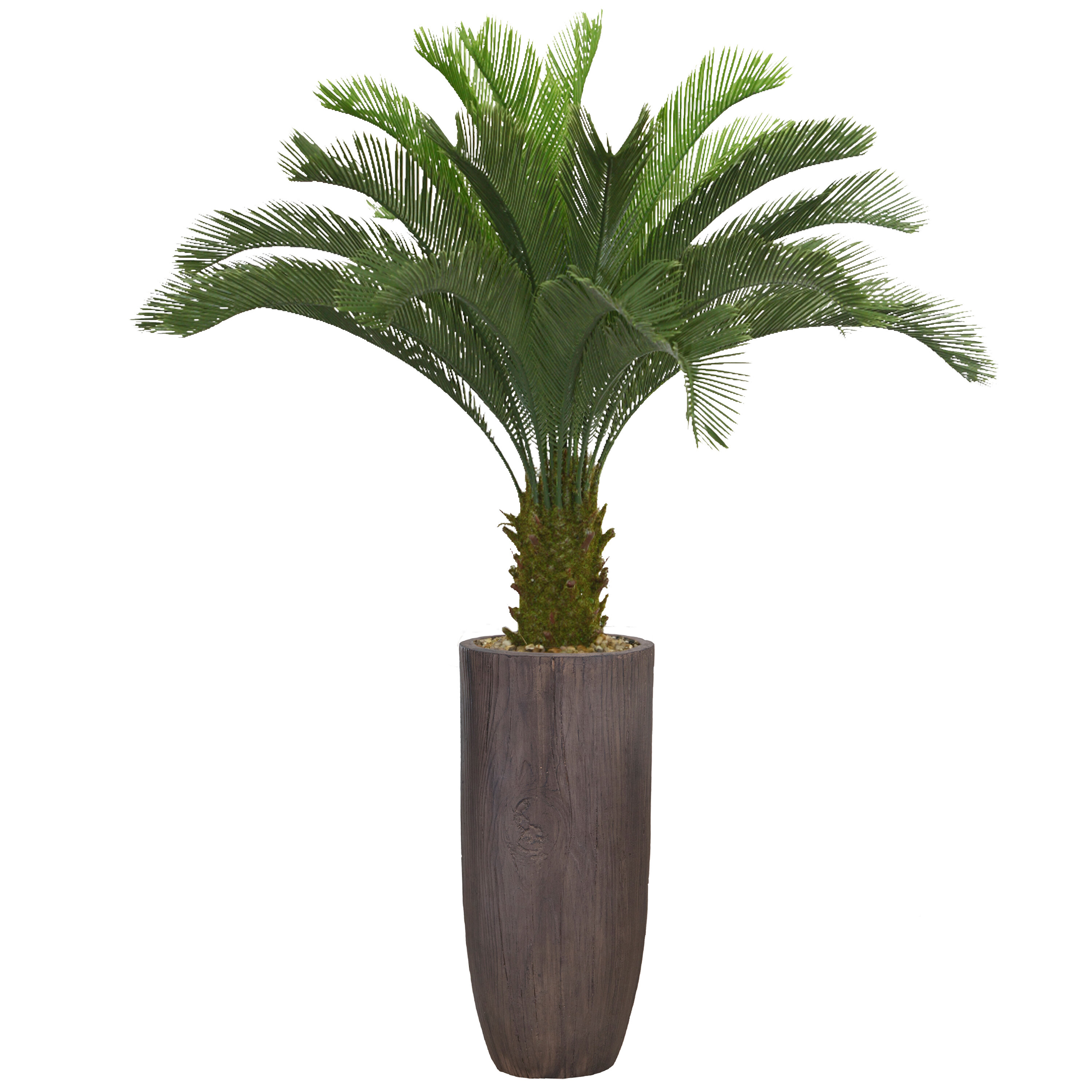 Panama 48 Tall Fluorescent (Glow in the dark) Palm Tree