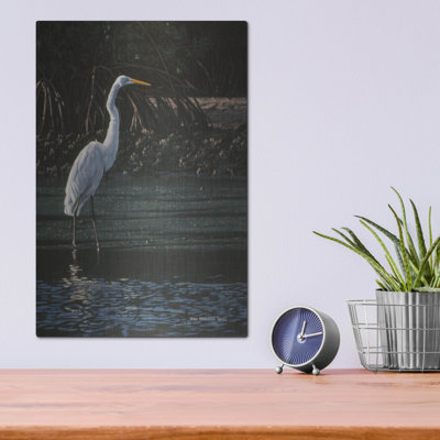 "Grande aigrette" par Ron Parker