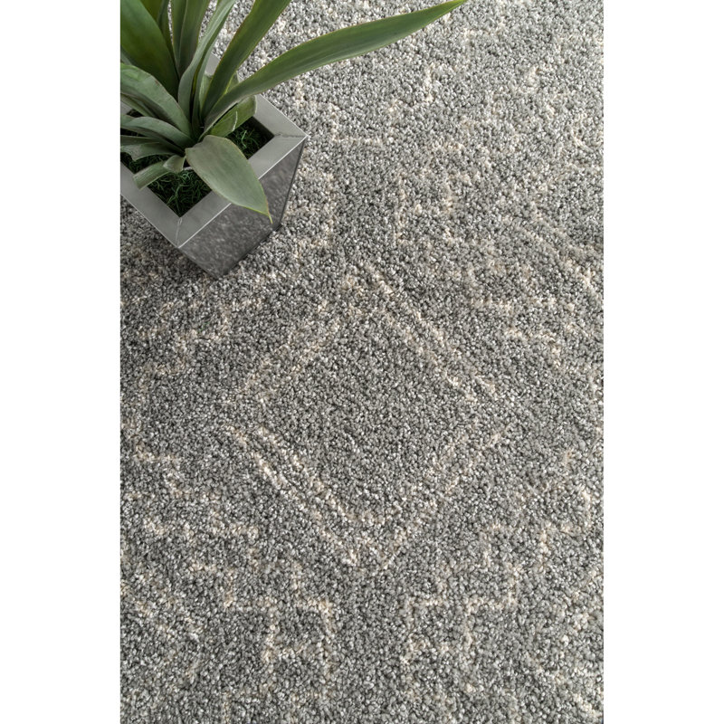 Tapis argent de style Sud-Ouest Croxley, Rectangle 3 pi x 5 pi